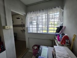 Blk 101 Gangsa Road (Bukit Panjang), HDB Executive #603590471